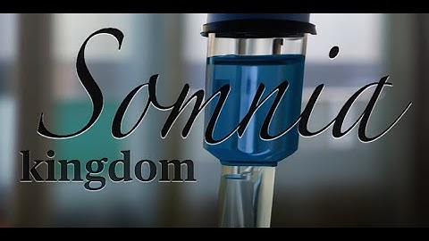 Somnia Kingdom [AI-visualized]