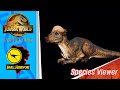 [4K] Jurassic World Evolution 2 All Small Herbivores Species Viewer