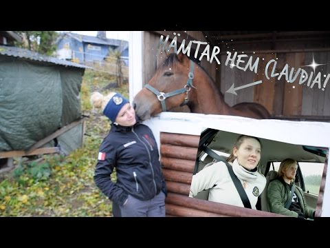 Video: Vart Kan Du åka I Oktober