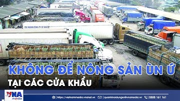Không để nông sản ùn ứ tại các cửa khẩu - VNA