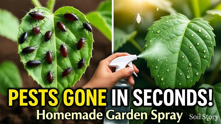 This Homemade Spray KILLS 99.7% of Garden Pests Instantly! Aphids, Ants, Whiteflies & Mealybugs GONE