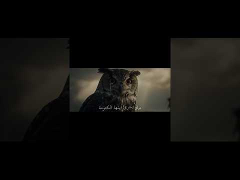 مــاذا جــرى ستوريات محرم الحرام ستوريات حسينيه حالات واتس اب Youtubeshorts اكسبلور Tiktok