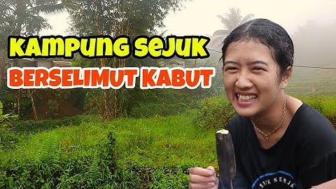 Turun Hujan Dan Kabut Di Pedesaan! Nambah Betah Suasana I Suasana Pagi Di Kampung Yang Tenang