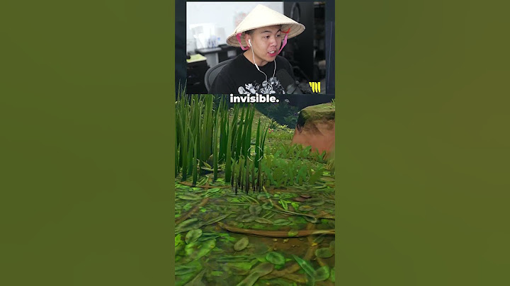 Asian Dad uses Invisibility on Fortnite (Bik Wong)