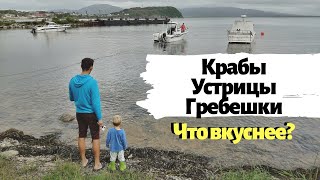 видео: Приморская Еда 🦀 Пробуем Приморскую Кухню Всей Семьей и с Друзьями. Приморские Пирожки с Кокосом 😂 картинка: Приморская Еда 🦀 Пробуем Приморскую Кухню Всей Семьей и с Друзьями. Приморские Пирожки с Кокосом 😂
