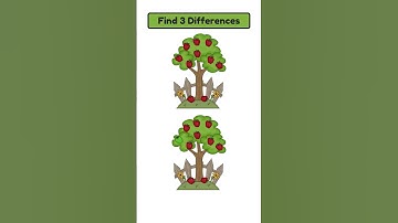 Spot 3 Differences #1347