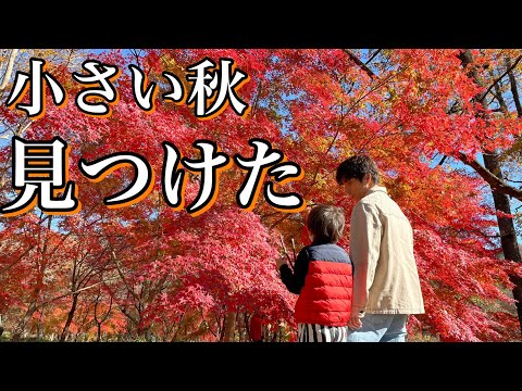 【休日】息子と男だけの紅葉ツアー