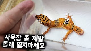 피해가 너무 큽니다. 마음대로 꺼내지 말아주세요