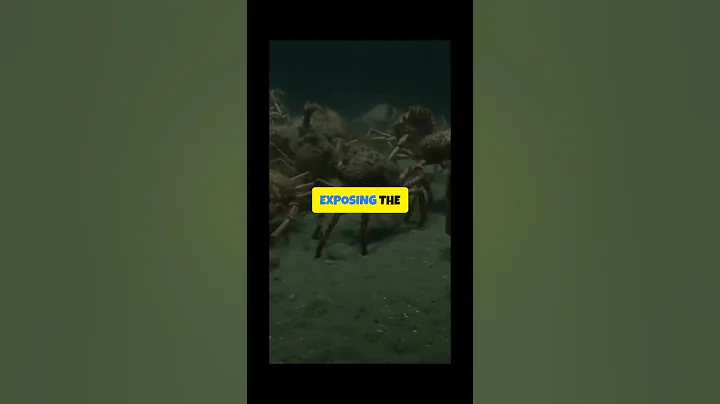 Know the 🐙😱 5 SCARIEST Sea Creatures Lurking Beneath the Ocean!