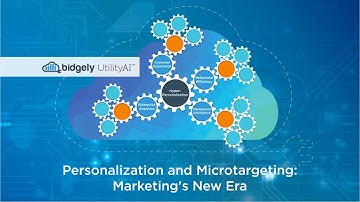 UtilityAI In Depth - Personalization and Micro-targeting: Marketing
