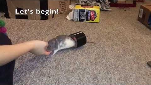 Espresso Learning the Ball-Tunnel Fetch