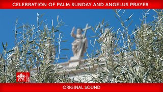 24 March 2024, Celebration of Palm Sunday, Angelus prayer | Pope Francis