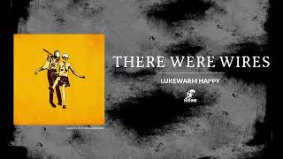 Watch There Were Wires Lukewarm Happy video