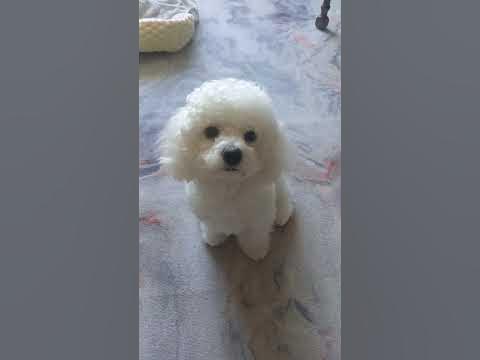 Маруся - YouTube