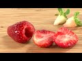 《TESCOMA》Presto草莓去蒂夾 | 去蒂工具 去蒂器 product youtube thumbnail