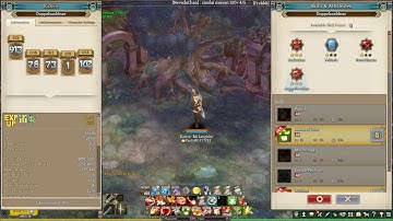 Tree of Savior - Introducing myself(Equip, stats, attributes and skills)