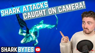 Shark Scientist Reacts to SHARK ATTACK Videos!