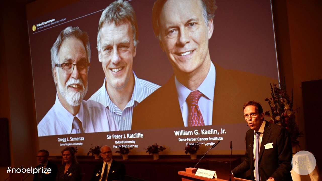 The Nobel Prize In Physiology Or Medicine 19 Nobelprize Org