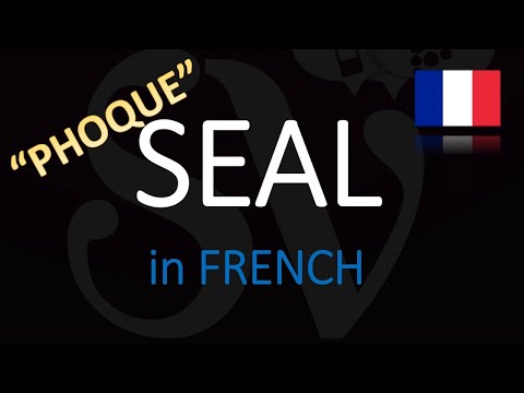 How do you say seal in French? (Siri Tik Tok Meme Explained)