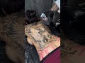 Girl back tattoo work