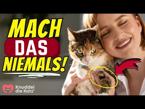 Video: Wie Sie Ihrer Katze ein kalorienreiches Ergänzungsgel geben