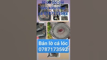 lờ cá lóc cải tiến siêu nhại cá 0787173592