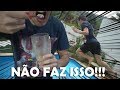 PULEI NA PISCINA DO SEGUNDO ANDAR E TOMEI MILK SHAKE PODRE!