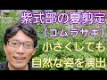 【紫式部(コムラサキ)の剪定】小さくしながら、自然な樹形にまとめる夏の手入れ