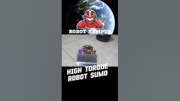 Try a Mini Sumo Robot with High Torque!