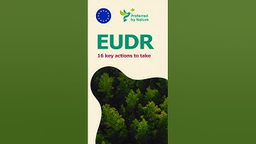 EUDR: 16 key actions to take