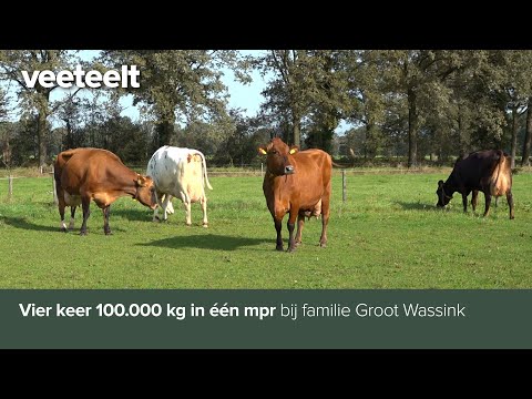 Vier keer 100.000