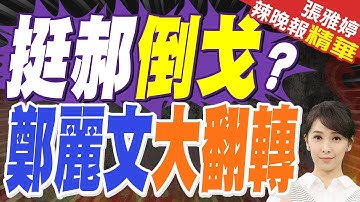 黃復興分裂?挺郝倒戈 鄭麗文大翻轉?軍系內戰 黃復興左右戰局?｜蔡正元.栗正傑.李永萍.張啓楷深度剖析【張雅婷辣晚報】精華版 @中天新聞CtiNews