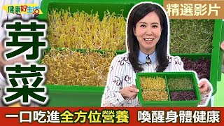 【健康好生活 超精彩回顧】一口吃進「全方位營養」 小小「芽菜」喚醒身體健康/// 越南芽菜卷  芽菜燻鮭魚捲  芽菜薄餅  芽菜番茄排骨湯