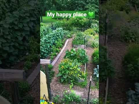 Wideo: Lipcowe zadania ogrodnicze – konserwacja ogrodnictwa w dolinie Ohio