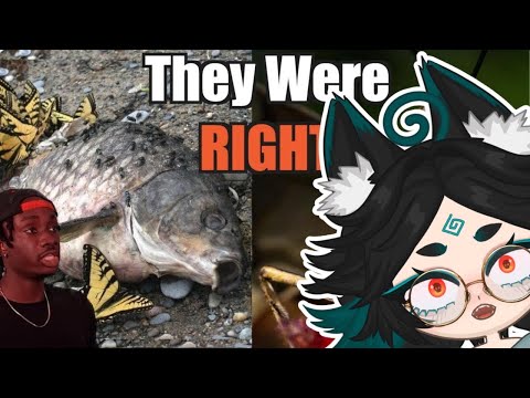 Butterflies are YUCKY! / Casual Geographic React