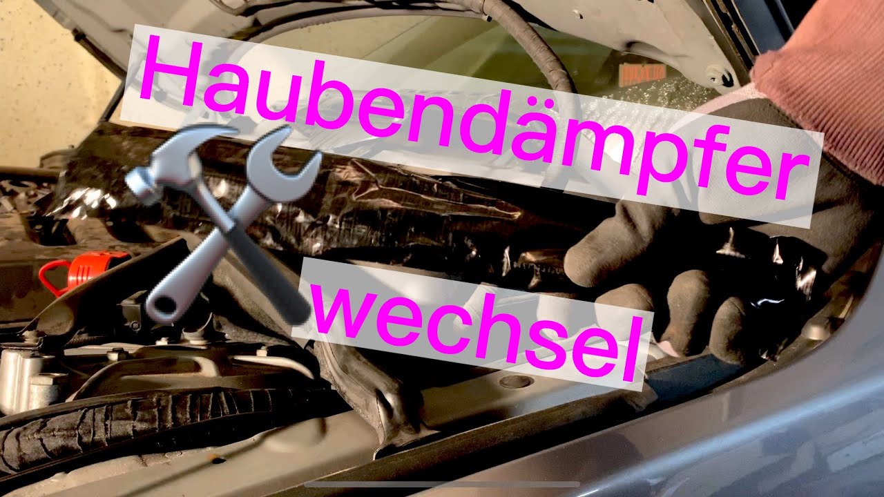 Gasdämpfer an der Motorhaube wechseln [AUTODOC TUTORIAL] 