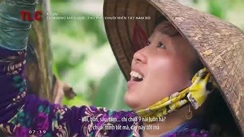 Làm giàu nhờ mô hình trồng chuối ven sông