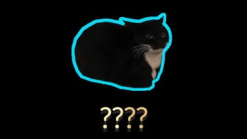 15 Maxwell The Cat Sound Variations in 51 Seconds Part 23