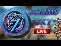 7SKY SCRIMS ORG