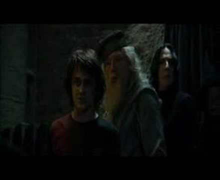 David Tennant in Harry Potter
