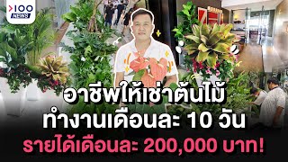 อาชีพให้เช่าต้นไม้ ทำงานเดือนละ 10 วัน รายได้เดือนละ 200,000 บาท  | 100NEW