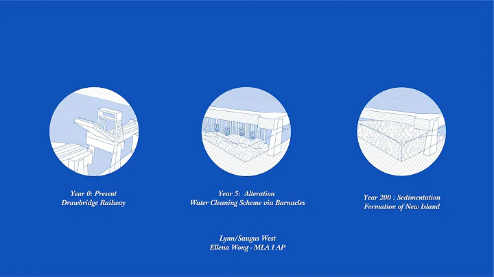 Progression- Ellena Wong (MLA I AP)
