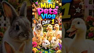 Cute Rabbit & Duck Vlog 🐇 Mini Pets Vlog Day 1