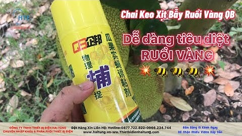 Chai Keo Xịt Bẫy Ruồi Vàng QB | Keo Bẫy Ruồi Vàng | Thiết Bị Điện Hai Tùng - 0966 234 744