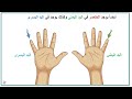 أٍسماء الاصابع - وحدة الايدي - نجاة وبتول كيدز