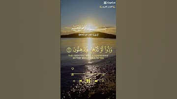 سورة القلم ~ فَلَا تُطِعِ الْمُكَذِّبِينَ ~ #القرآن_الكريم #اكسبلور #quran #لايك