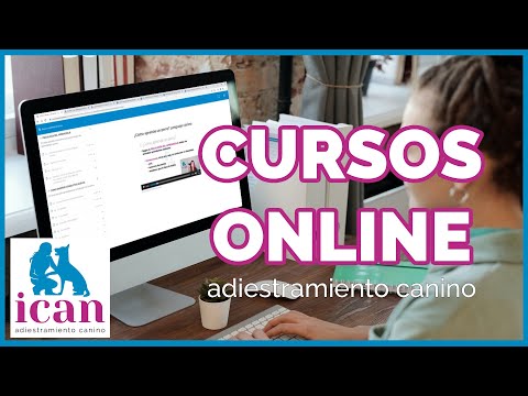 ✨¡NUEVO!✨ CURSOS ONLINE