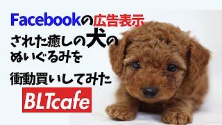 「犬のぬいぐるみ」で癒されたい