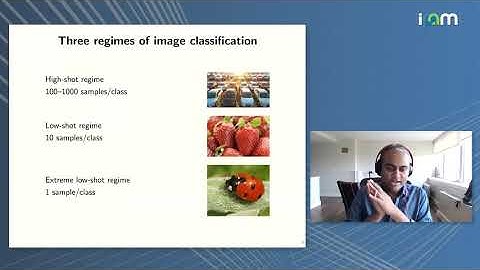 Pratik Chaudhari: "Learning with Few Labeled Data"