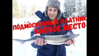 Платный пруд Клевое место. Ловля форели, платная рыбалка 2018